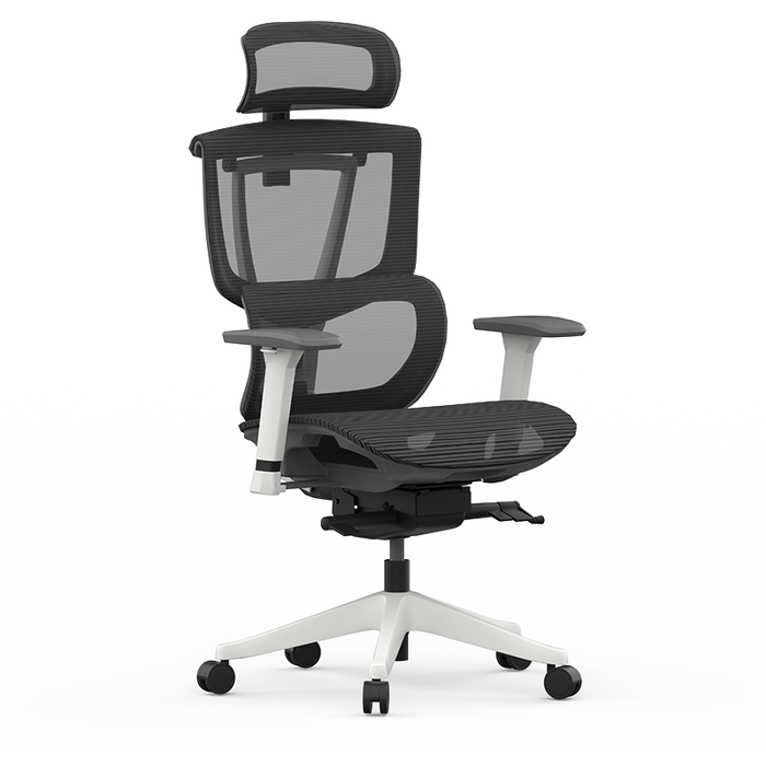 Flexispot C7- Premium Ergonomic Office Chair - Main Image