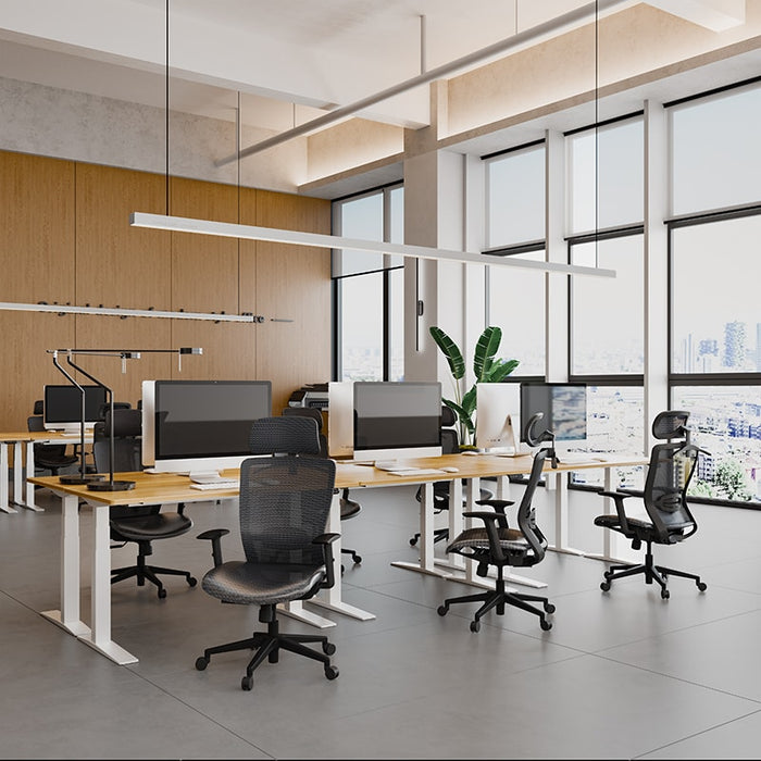 Flexispot C3 - Essential Office chair