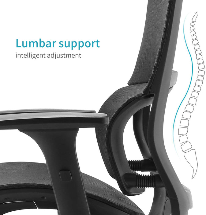Ergonomic Mesh Office Chair and Adjustable Armrest - Relaxing Recliners