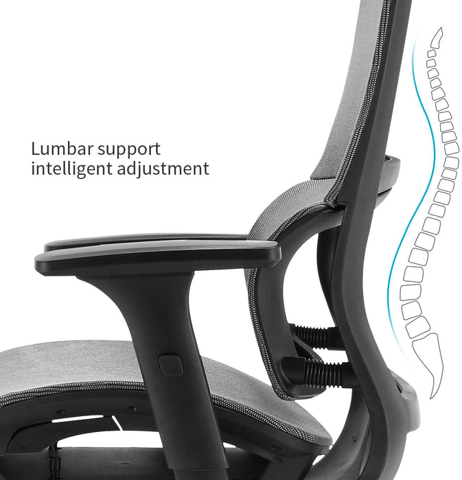 Ergonomic Mesh Office Chair and Adjustable Armrest - Relaxing Recliners
