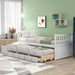 Twin Daybed for Kids with Storage - Relaxing Recliners
